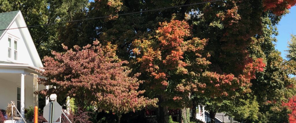 Historic home in Weston, Missouri, surrounded by autumn foliage