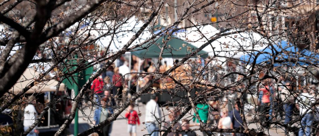 Out-of-focus street fair scene viewed through tree branches