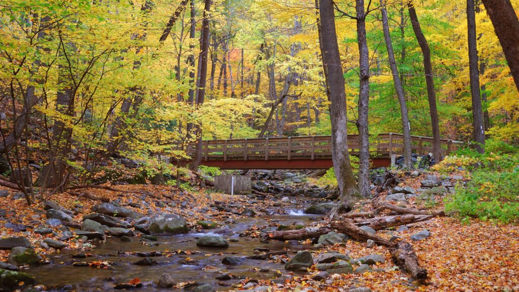A wooded trail and small bridge in Bentonville, Arkansas during fall.