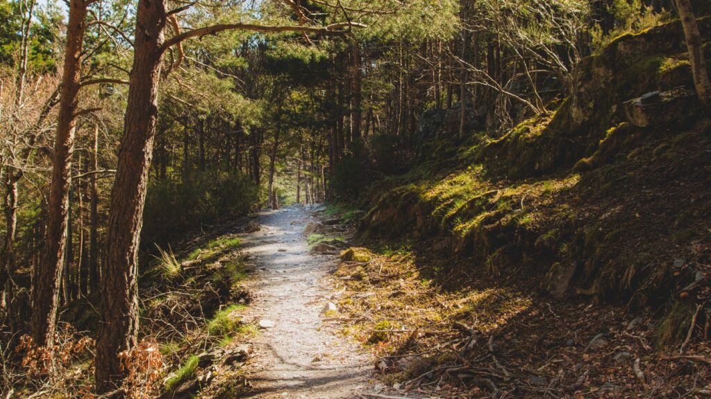 A wooded hiking trail in the Ozarks near Fayetteville, Arkansas.
