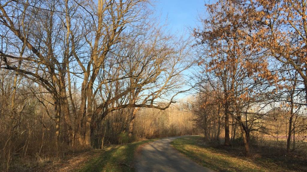 Walking trail view in autumn with bare trees and blue sky, near Sedalia, Missouri