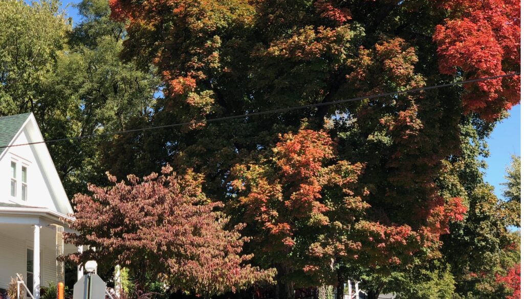 Day trips from Kansas City to nearby towns and attractions