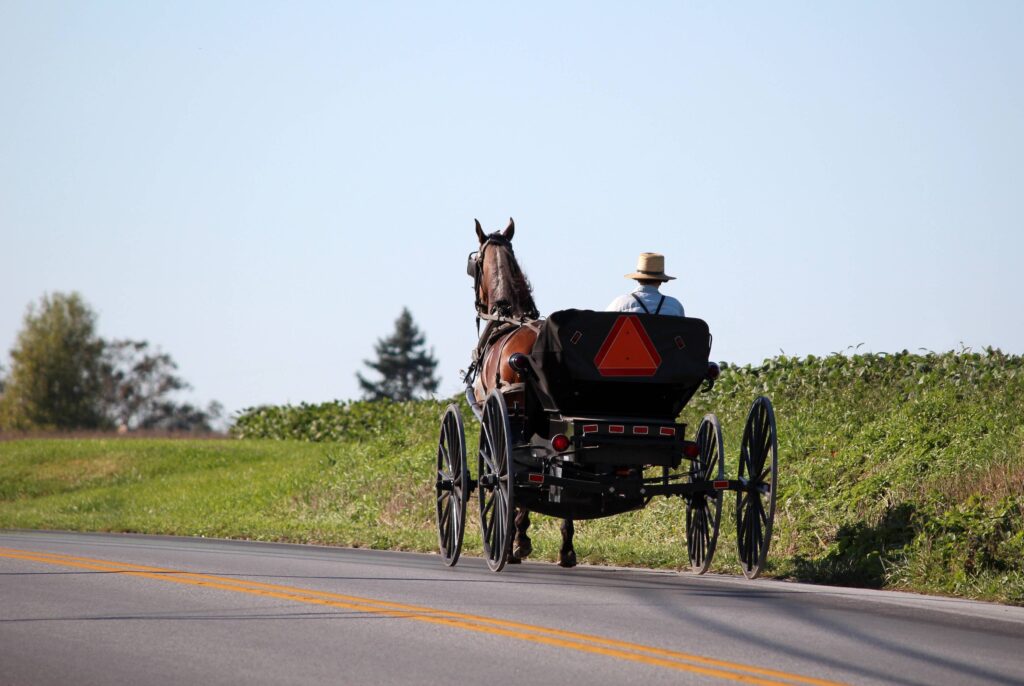 Amish horse-drawn buggy traveling along a rural road in summer